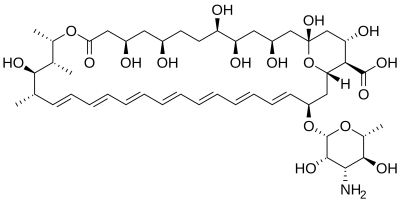 Amphotericin B